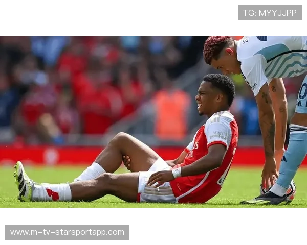 球员在欧洲杯赛场上凭借速度优势形成突破口，欧洲杯哪个球员受伤了