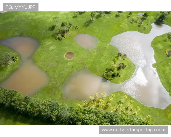 体育赛事可持续发展措施分析